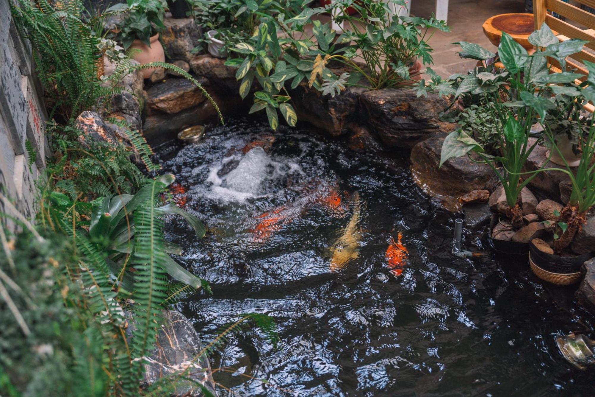 St House Dalat Hotel Luaran gambar